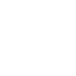 スポット便アイコン